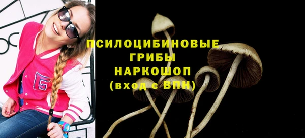 индика Белоозёрский