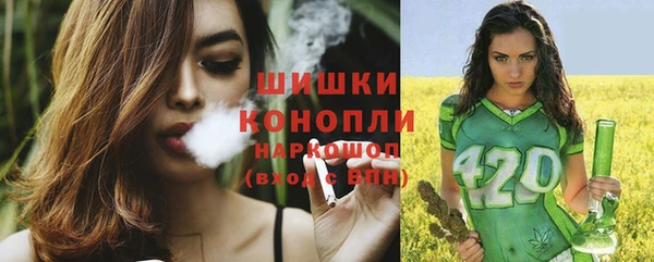индика Белоозёрский