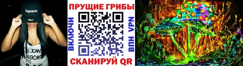 Галлюциногенные грибы Magic Shrooms  МЕГА ТОР  Минеральные Воды  нарко площадка какой сайт  цены наркотик 